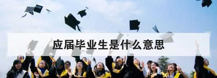 應屆生是什么意思啊