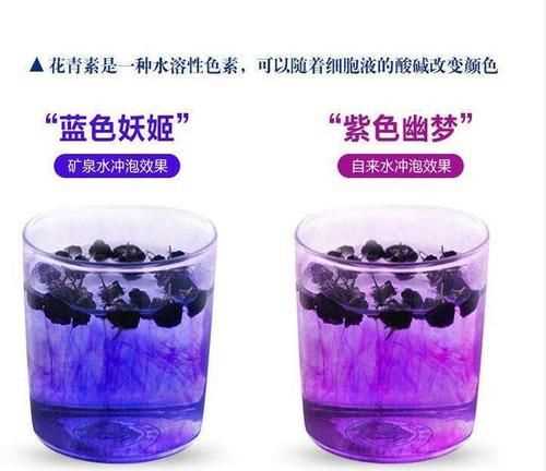 花青素存在于細胞的什么當中