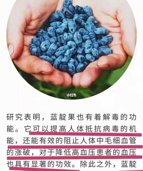 植物細胞的花青素存在于()中