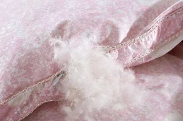 鵝絨被有腥味正常,鴨毛被都有味道嗎圖1