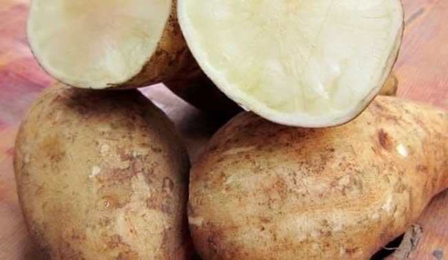 雪蓮果外皮染紅色