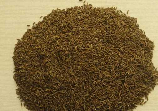 小茴香和孜然的區(qū)別,孜然與小茴香的區(qū)別及用途圖3