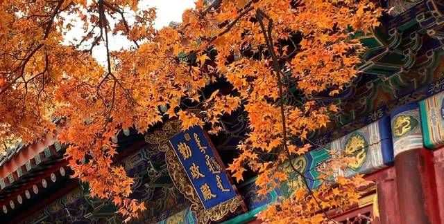 香山紅葉幾月欣賞最合適