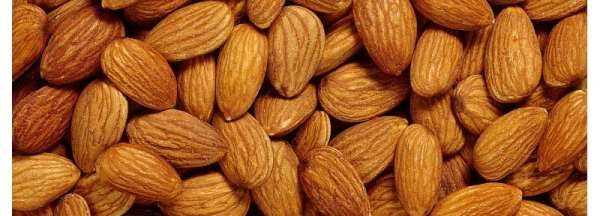 杏子的核可以敲開(kāi)吃,杏子的核可以敲開(kāi)吃嗎圖4