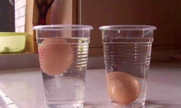 鹽水為什么讓雞蛋浮出水面,雞蛋加鹽浮起來的原理是什么圖4