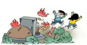 清明節(jié)掃墓安全知識教案