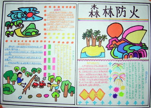 冬季森林安全防火知識(shí)手抄報(bào)