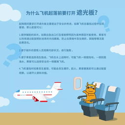 關(guān)于飛機安全知識