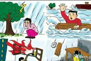 預(yù)防雷擊安全知識版本