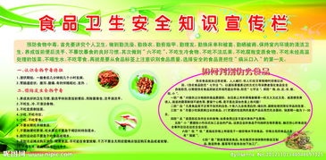 小學(xué)生食品衛(wèi)生安全知識宣傳簡報