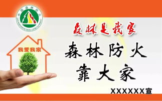 元旦森林防火安全知識(shí)會(huì)議記錄