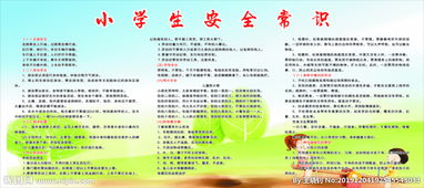 小學(xué)生安全知識提綱