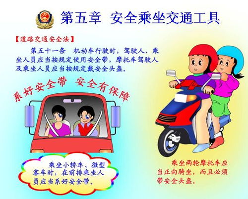 向小學生講述安全知識報告