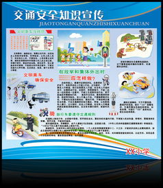 大學生校園交通道路安全知識