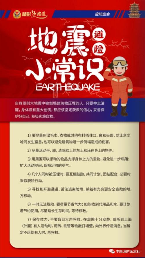 防地震安全知識的心得體會(huì)