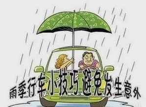 夏季雨季安全行車知識
