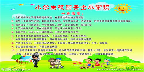 安全小知識(shí)小學(xué)作文100字