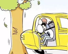 安規(guī)安全帶使用知識(shí)