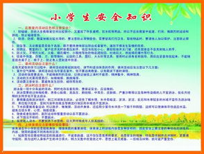 安全知識(shí)題庫(kù)小學(xué)