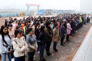 消防安全知識及實戰(zhàn)演練