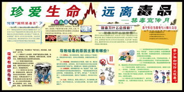 禁毒宣傳安全知識