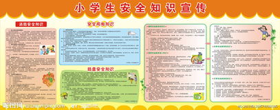 小學生安全知識宣傳簡報