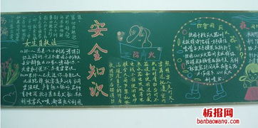 選廠安全知識黑板報