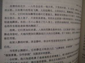 安全規(guī)則知識(shí)600字作文