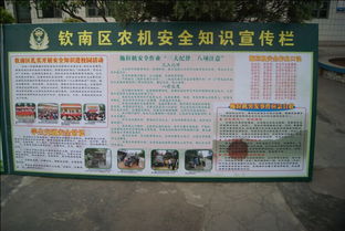 交通安全知識(shí)講座讀后感的作文四百字