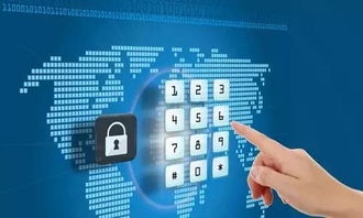 河北省安全知識能源杯數(shù)據(jù)怎么查