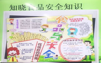 大學(xué)生食品安全知識(shí)知曉率