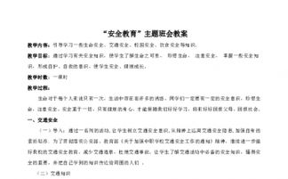 安全教育知識教案高中