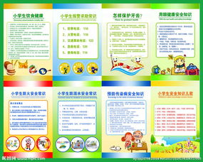 小學(xué)生疾病防控安全知識(shí)教育