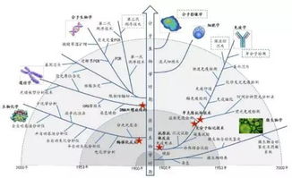 體外診斷安全知識(shí)