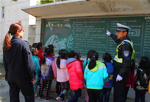 交通安全知識板報講解