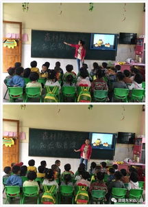 森林防火安全知識教育的重要性