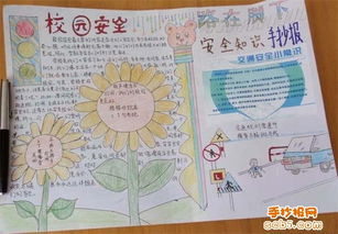 動物實(shí)驗(yàn)室安全知識板報(bào)設(shè)計(jì)圖