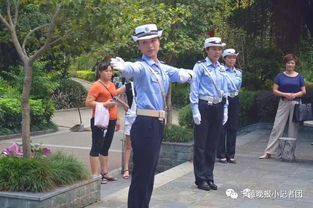 關(guān)于交通安全知識報(bào)告有感