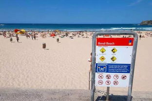 外出游玩水上安全知識(shí)資料