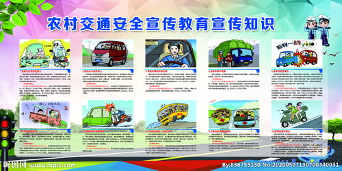 農(nóng)村小學道路交通安全知識