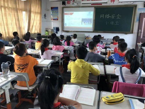 小學(xué)網(wǎng)絡(luò)知識(shí)安全教育講座