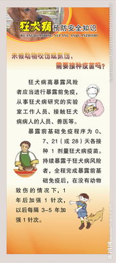 狂犬安全知識(shí)