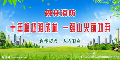 小學(xué)生森林安全知識(shí)標(biāo)語