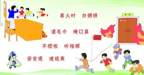 幼兒安全戶外活動知識