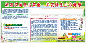 學(xué)校進(jìn)行食品安全知識宣傳