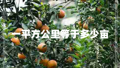 一平方公里等于多少畝