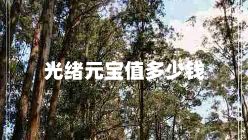 光緒元寶值多少錢