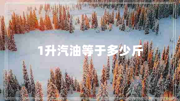 1升汽油等于多少斤 1升汽油等于多少斤