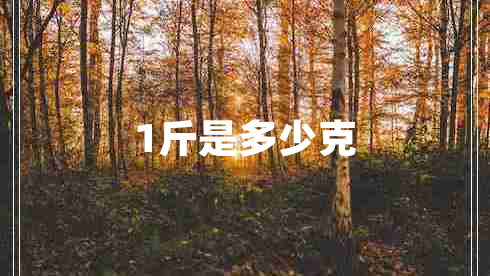 1斤是多少克 1斤是多少克