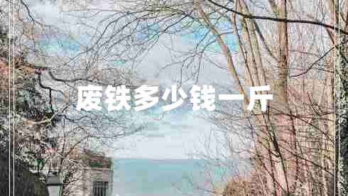 廢鐵多少錢一斤